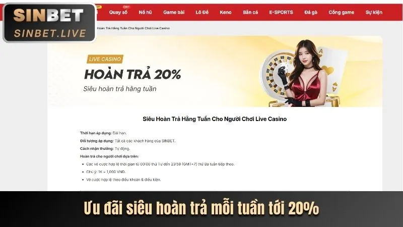 Trải nghiệm di động tối ưu